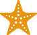 starfish.png