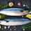 Thumbnail: Mackerel