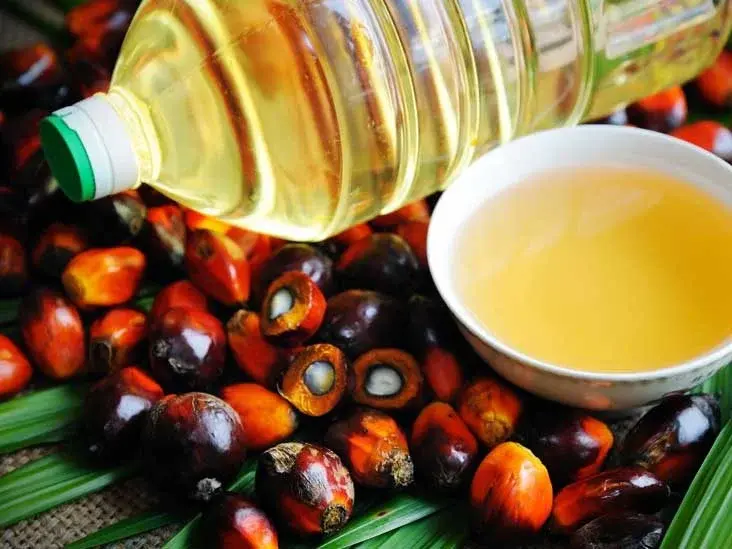 Thumbnail: Palm Oil