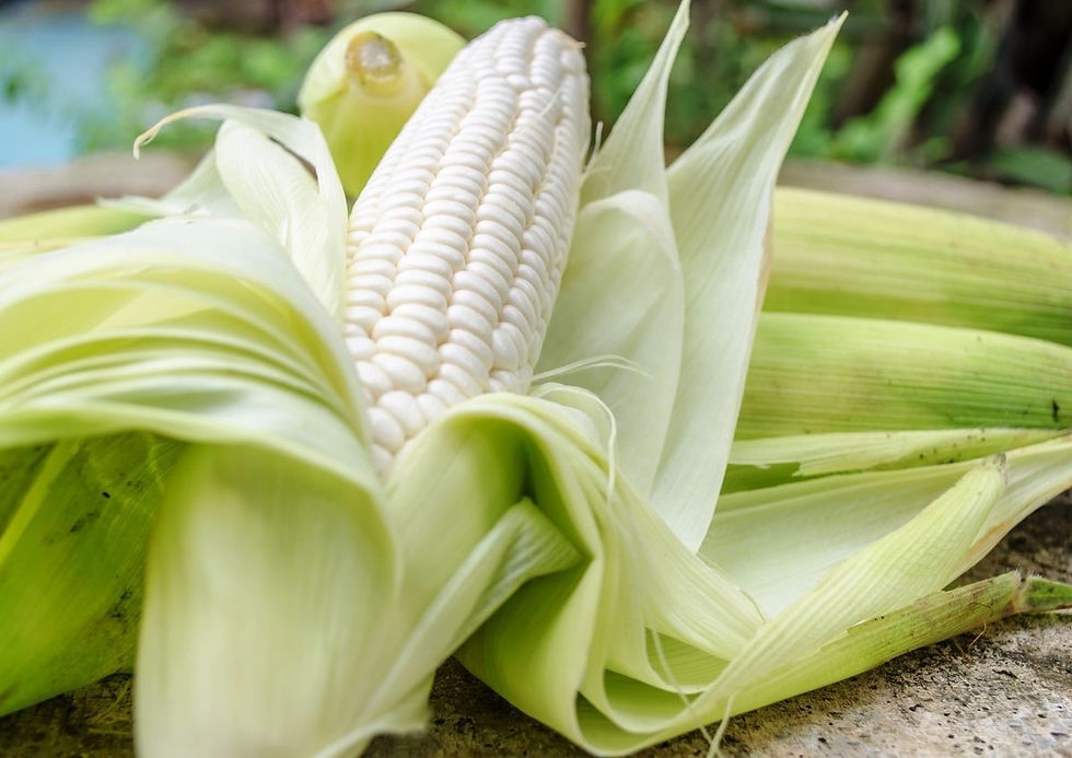 Thumbnail: Corn
