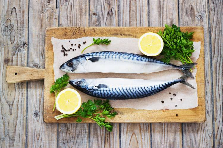 Thumbnail: Mackerel