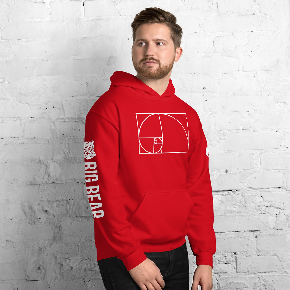 Thumbnail: BBM- Fibbonacci Wings Hoodie