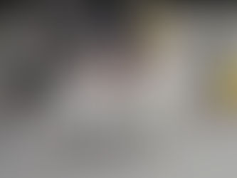 I want to talk about Jiu-jitsu.