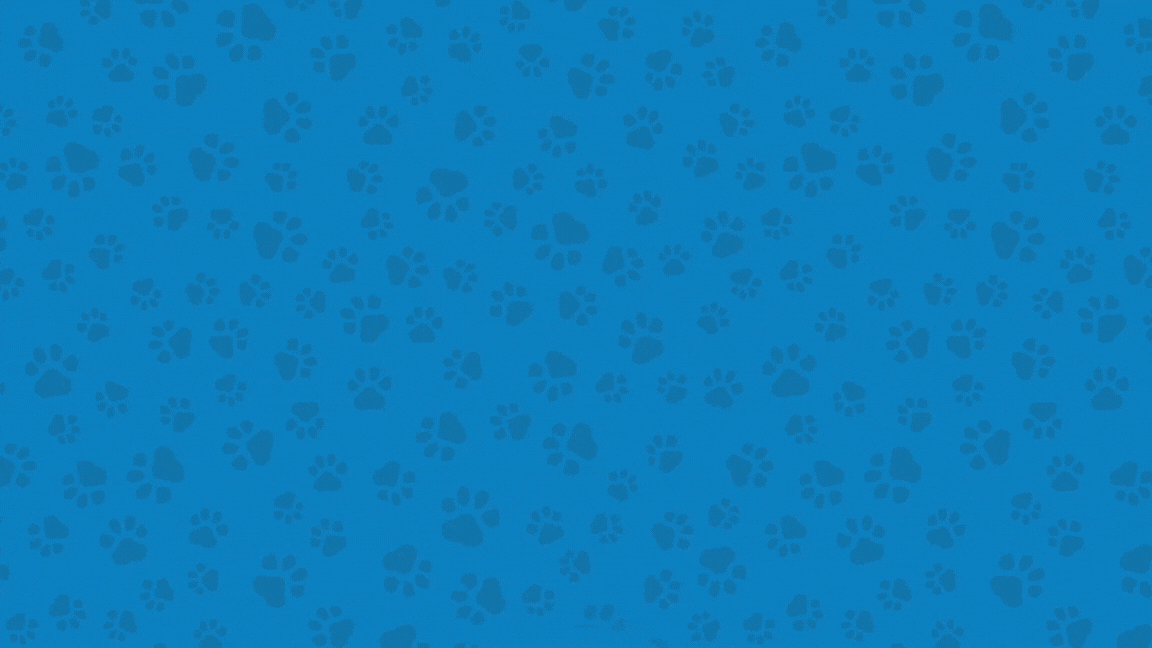 Design sem nome (11).gif