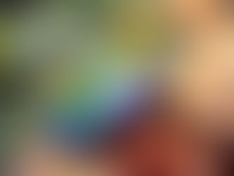 Marine Life Around Batam Private Islands