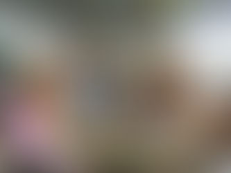 Snorkeling Batam: A Fun Holiday with Your Friends?