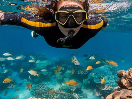 🐠 Snorkeling Batam: The Ultimate Sea Adventure in Kepri