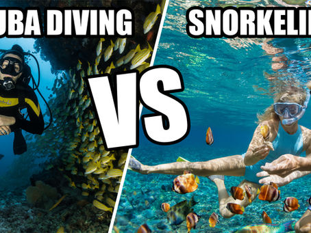 Snorkeling vs Scuba Diving: Which Marine Experience Is Right for You?