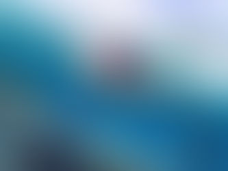 Types of Fish You Can Spot While Snorkeling Batam