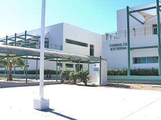 Hospitales de Baja California Sur cuentan con antídotos para picaduras de arañas y mordeduras de serpientes