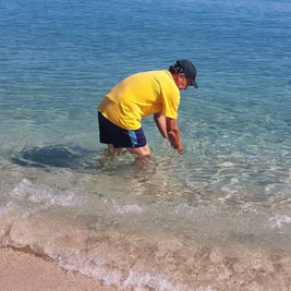 Playas de Baja California Sur son aptas para uso recreativo en vacaciones de verano 2026