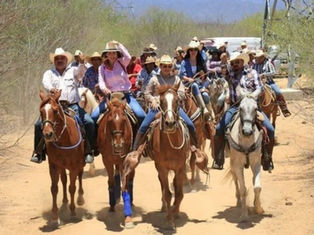 Habrá cabalgatas en Baja California Sur
