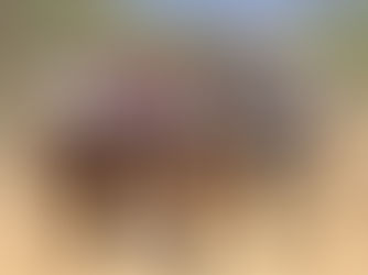 Habrá cabalgatas en Baja California Sur