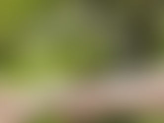 Desarrollos responsables: el compromiso ambiental y social que define a la nueva era del turismo