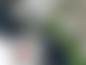 tormenta tropical Priscilla