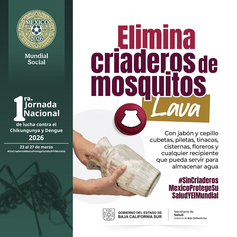 Jornada Nacional de Lucha contra el Dengue y Chikungunya en Baja California Sur