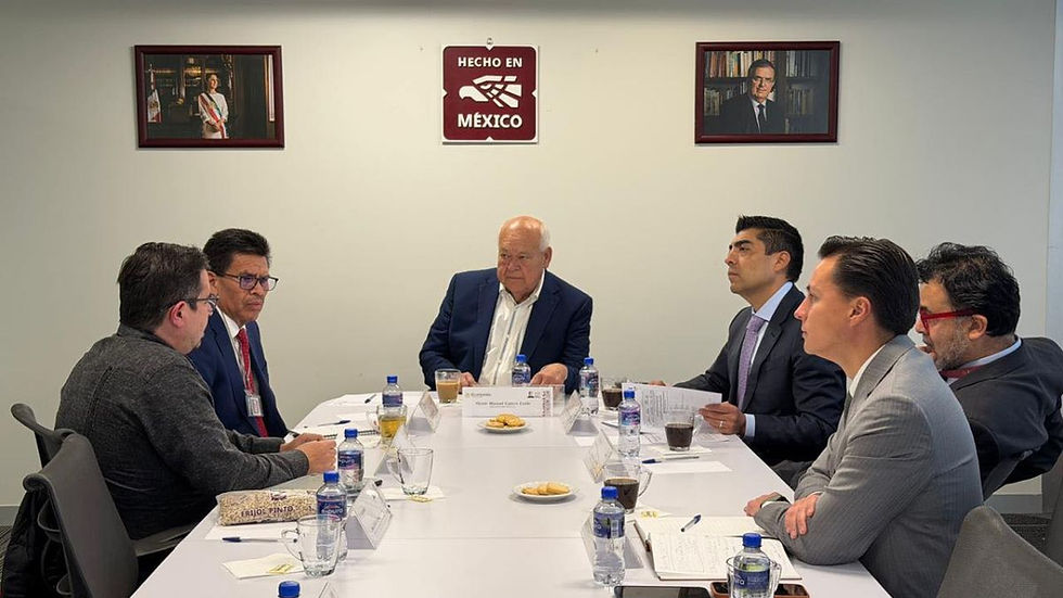 Estrategia de comercialización del frijol para productores sudcalifornianos