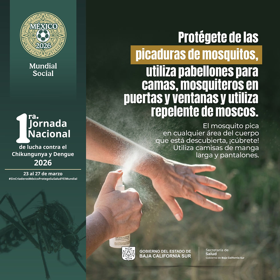 Jornada Nacional de Lucha contra el Dengue y Chikungunya en Baja California Sur