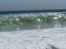COEPRIS confirma florecimiento algal no tóxico en la bahía de La Paz