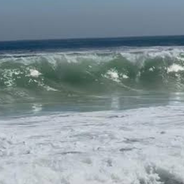 COEPRIS confirma florecimiento algal no tóxico en la bahía de La Paz