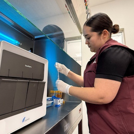 Baja California Sur fortalece la detección de Hepatitis C con nuevo equipo tecnológico