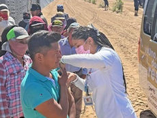Brigadas de salud vacunan a jornaleros agrícolas en Vizcaíno Mulegé