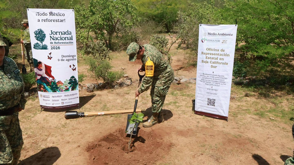 Baja California Sur participa en la Jornada Nacional de Reforestación 2026