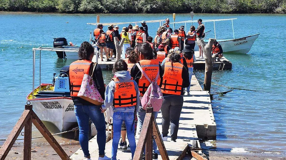 Temporada de avistamiento de ballena gris 2025 2026 en Baja California Sur