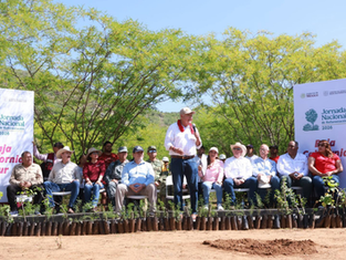 Baja California Sur participa en la Jornada Nacional de Reforestación 2026