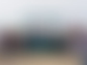 Inicio de la temporada de avistamiento de la ballena gris en Puerto Chale