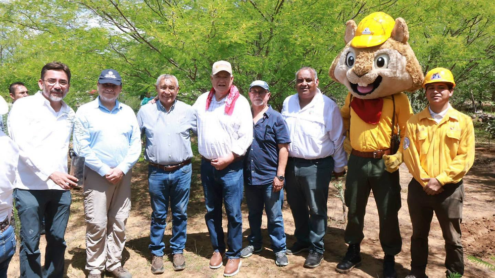 Baja California Sur participa en la Jornada Nacional de Reforestación 2026