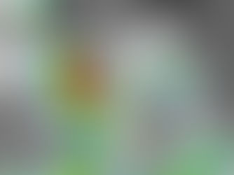 Tormenta tropical Raymond en Baja California Sur