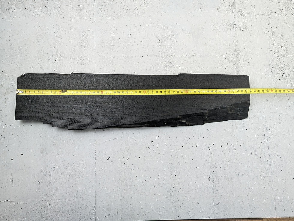 Miniaturbild: Messerhalter Mooreiche Naturkante