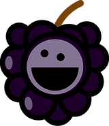 BFF BeBe sans box 090624.png