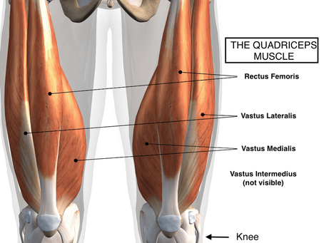 Free Your Quads, Free Your Pain: Why Quad Flexibility Matters for Your Knees, Hips, and Lower Back