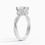 Thumbnail: Adorned Petite Twisted Vine Three Stone Diamond Engagement Ring