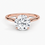 Miniatura: Ashley - 14k Round Cut Solitaire with Hidden Halo and Studded Bridge