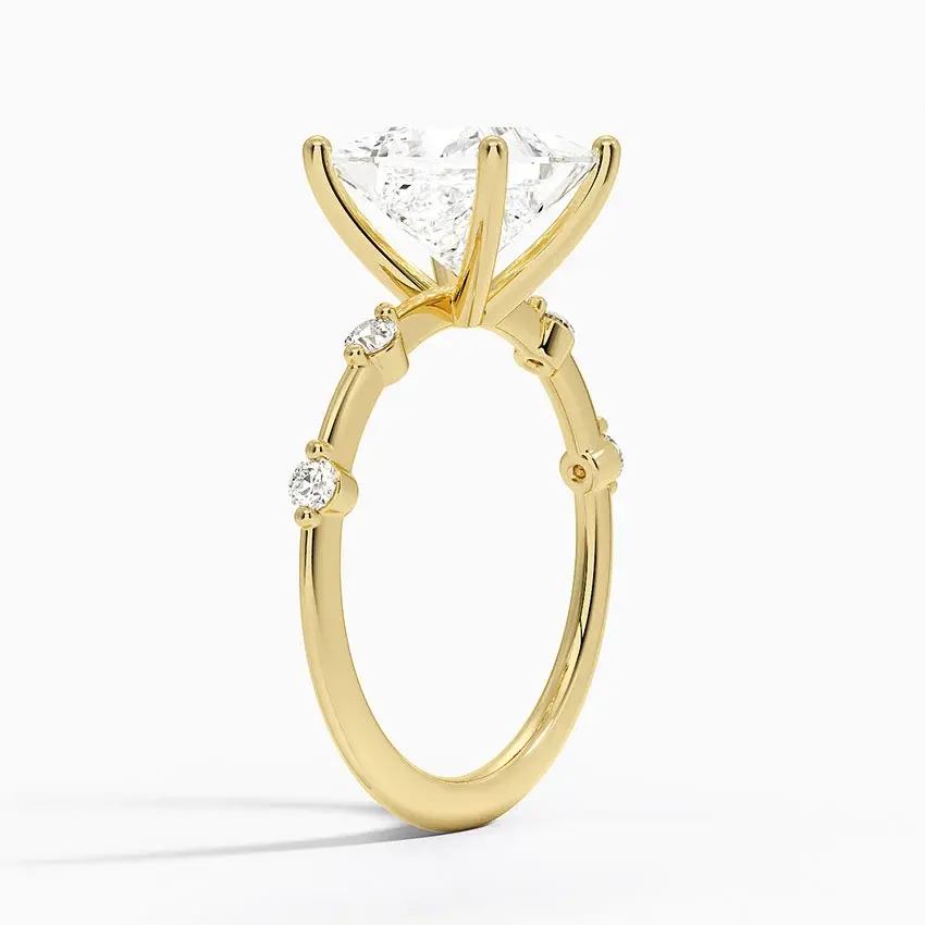 Miniature : Juniper - 14k Princess Cut Center with Round Studded Band