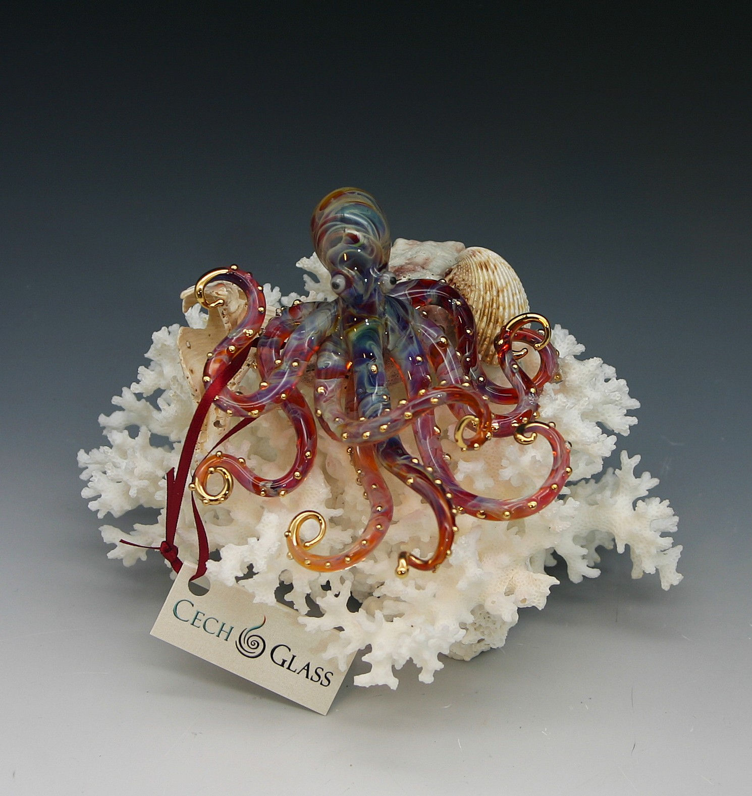 Octopus, small on coral