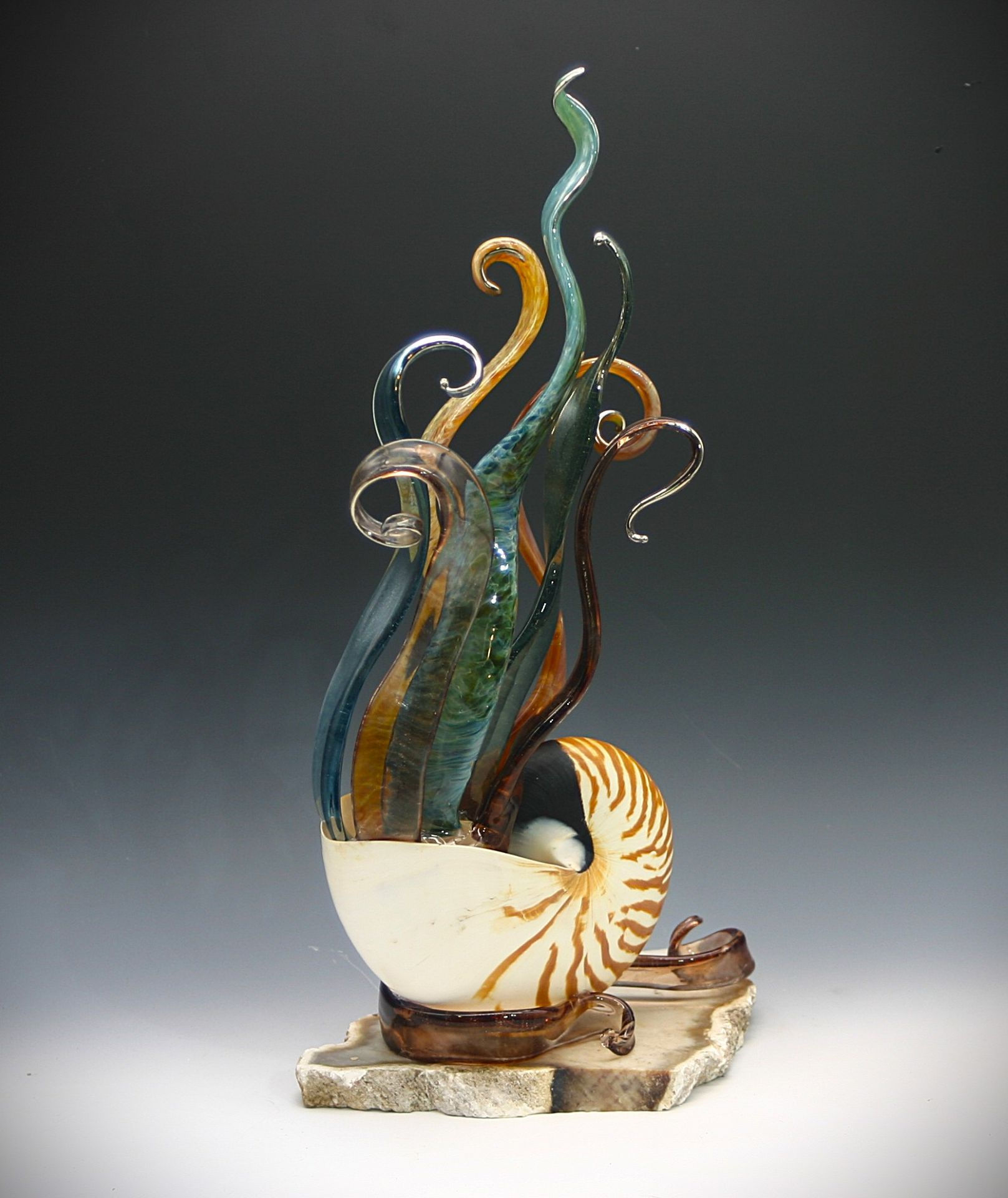 Nautilus, natural with tendrils in bronze and blue, Stone Base