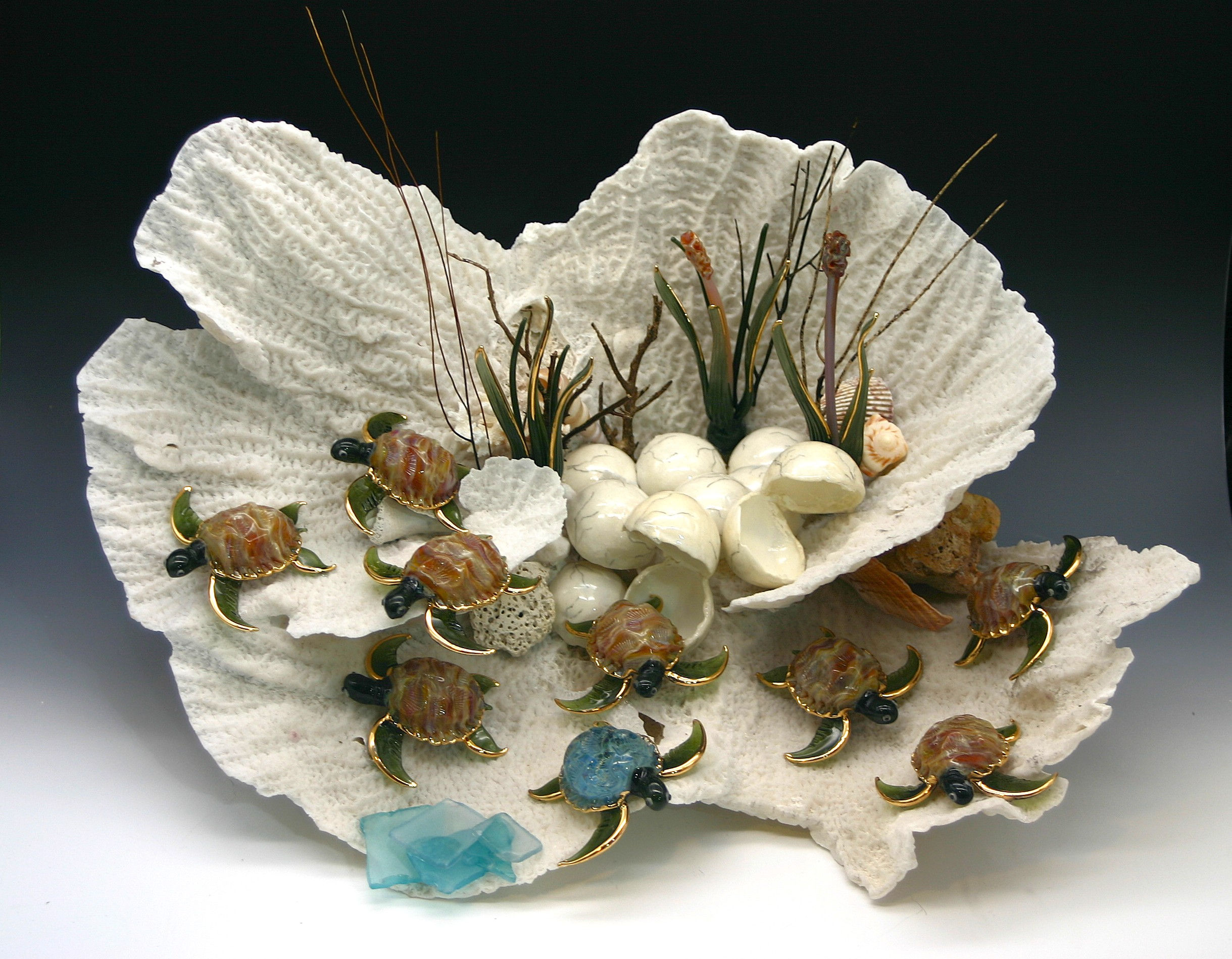 Sea Turtle Hatchlings on Large white coral