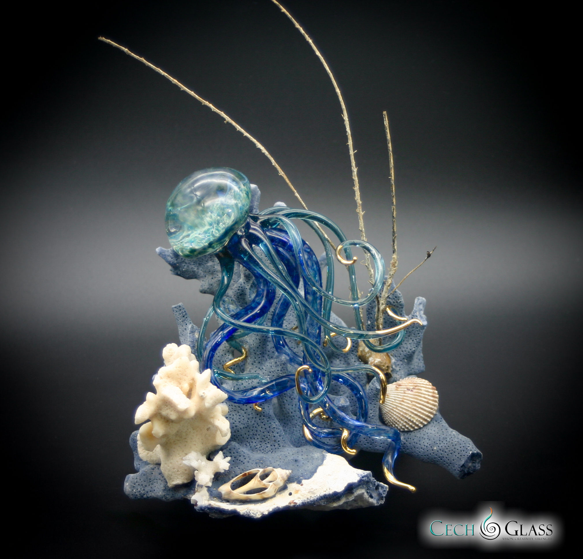 Jellyfish on Coral