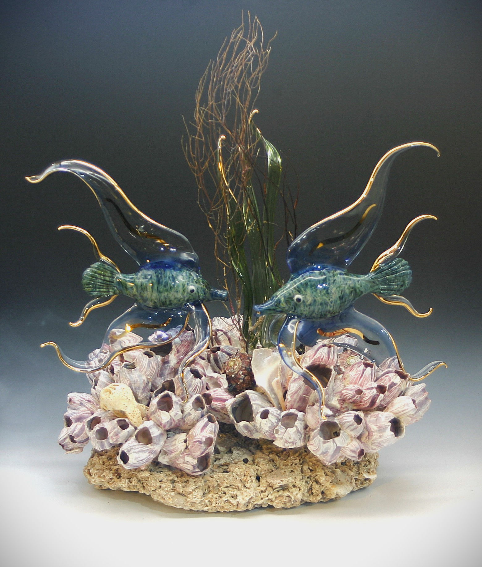 Kissing Angelfish on large barnacle cluster