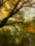 IMG_0454.jpeg