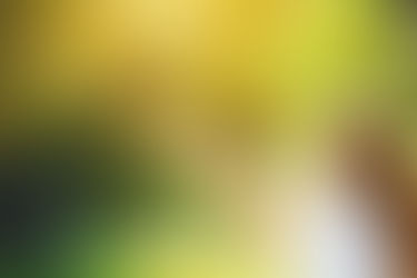 Ökostandards runter, Steuervorteile hoch: Das plant die Ampel