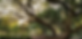Screenshot 2023-07-18 at 11.35.01 AM.png