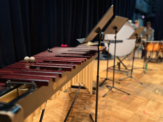 Photo_Orchestra_31.jpeg