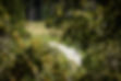 GRG-2023-Gravel-FULL-SIZE_144.jpg