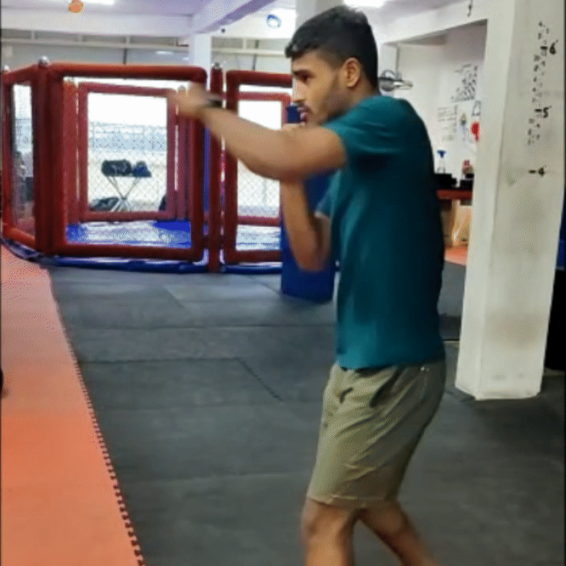 Boxing pro square.gif