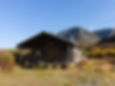 136850550_s-e1632701274438.jpg